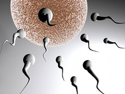 Γονιμότητα: Τα αντισπερματικά αντισώματα δεν σχετίζονται με βλάβη στο σπερματικό DNA